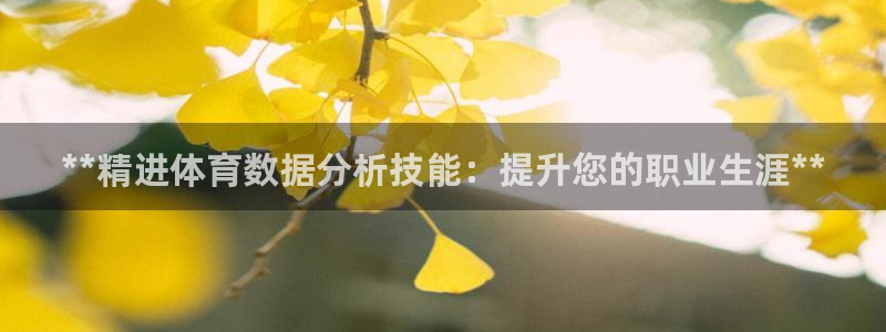尊龙凯时干什么的：**精进体育数据分析技能：提升您的