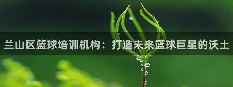 尊龙网址苹果版下载：兰山区篮球培训机构：打造未来篮球