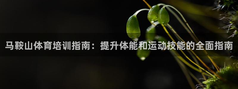 尊龙手机官方客户端下载：马鞍山体育培训指南：提升体能