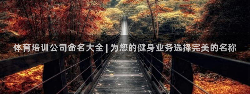 尊龙 中国：体育培训公司命名大全 | 为您的健身业务
