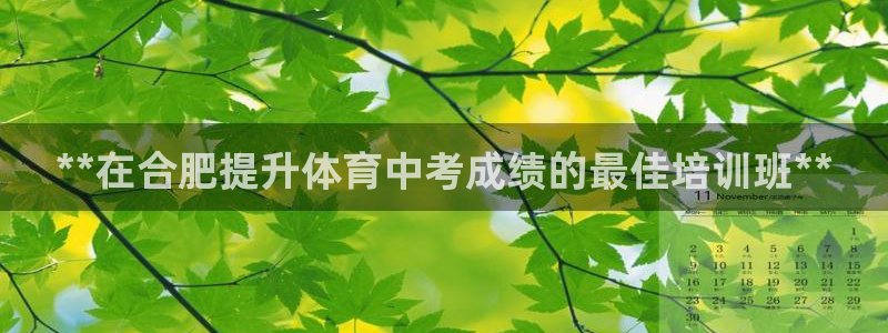 尊龙人生就是博用现金玩一下：**在合肥提升体育中考成