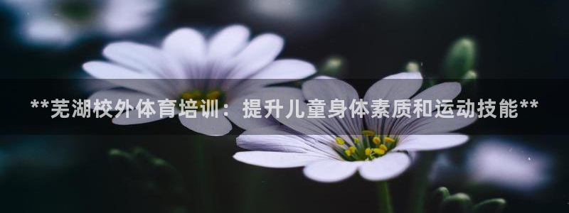 尊龙凯时网站首页手机登录：**芜湖校外体育培训：提升