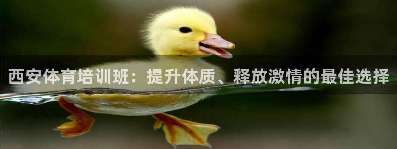 尊龙凯时人生就是搏平台：西安体育培训班：提升体质、释
