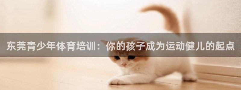 尊龙凯时能提现吗：东莞青少年体育培训：你的孩子成为运