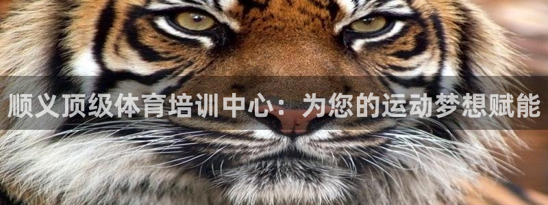 尊龙得过奥斯卡吗