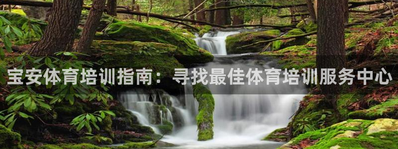 尊龙凯时处理未到账：宝安体育培训指南：寻找最佳体育培