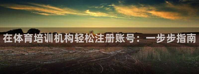 尊龙长相评价：在体育培训机构轻松注册账号：一步步指南
