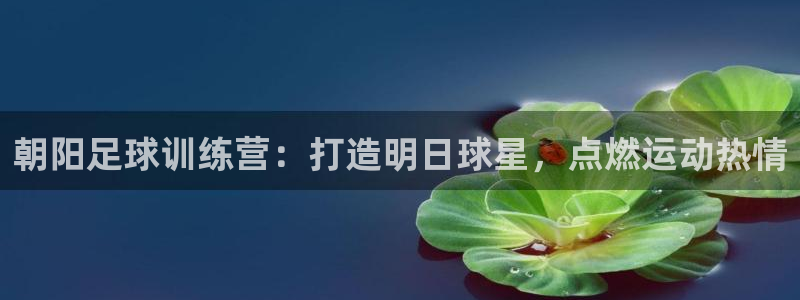 尊龙凯时泰安：朝阳足球训练营：打造明日球星，点燃运动