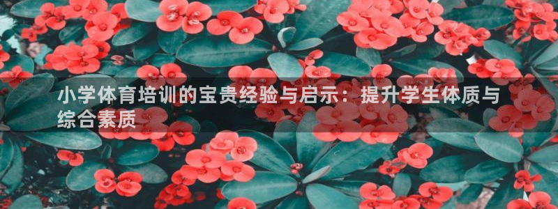 尊龙凯时正规吗：小学体育培训的宝贵经验与启示：提升学