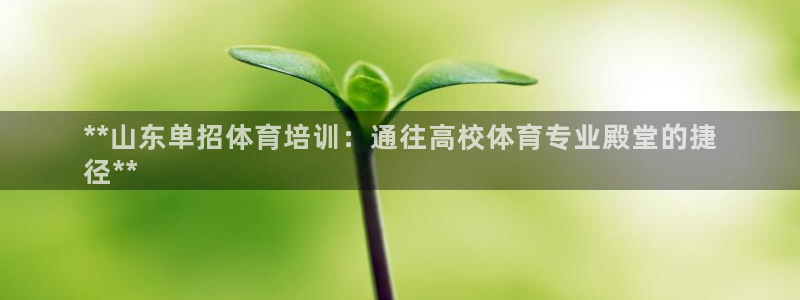 尊龙网址是选访问zd207：**山东单招体育培训：通