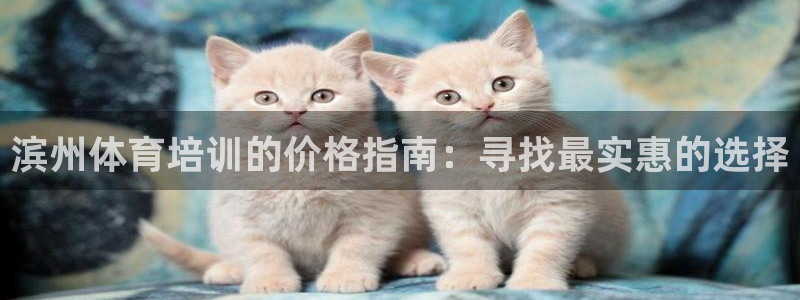 尊龙手机官方客户端下载安卓：滨州体育培训的价格指南：