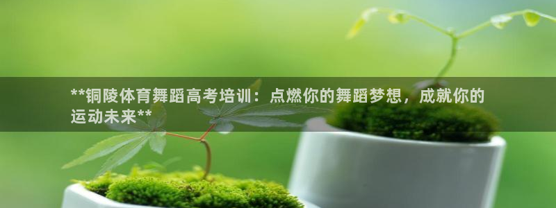尊龙手机官方客户端下载