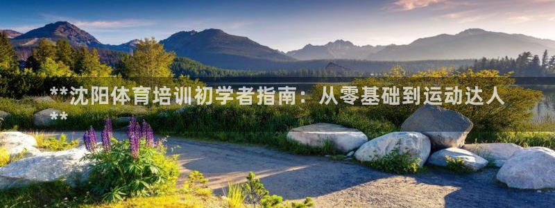 尊龙官网注册：**沈阳体育培训初学者指南：从零基础到