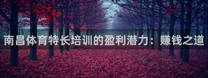 尊龙人品怎么样：南昌体育特长培训的盈利潜力：赚钱之道