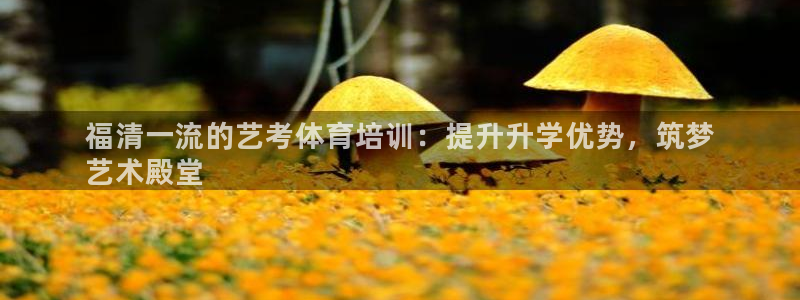 尊龙人生就是博首页：福清一流的艺考体育培训：提升升学