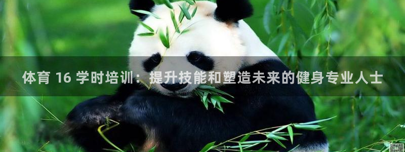 尊龙人生手机版都去ag发财网：体育 16 学时培训：