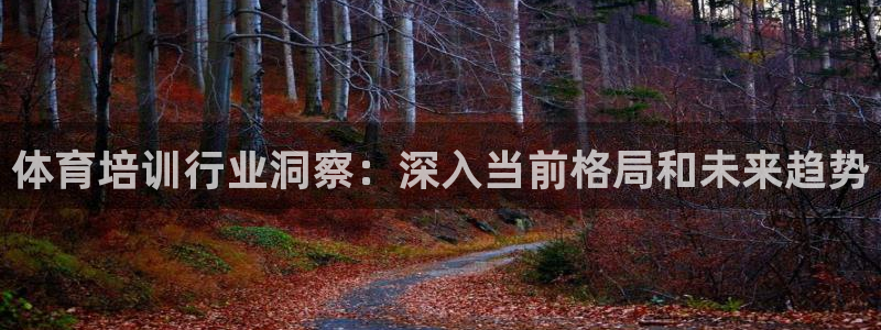 尊龙人生手机版都去ag发财网：体育培训行业洞察：深入