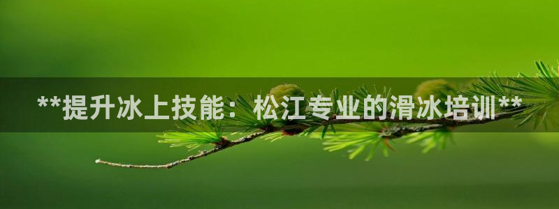尊龙凯时ag旗舰厅官：**提升冰上技能：松江专业的滑