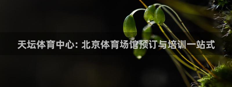 凯时kb88kb88：天坛体育中心: 北京体育场馆预