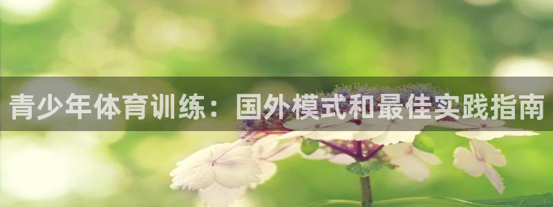 尊龙凯时ag旗舰厅官方网站：青少年体育训练：国外模式