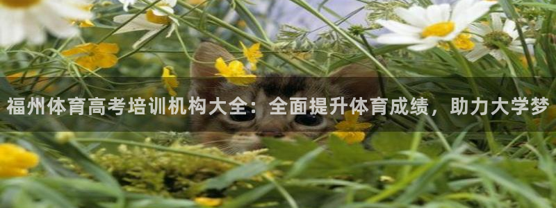 凯时在线平台官网：福州体育高考培训机构大全：全面提升