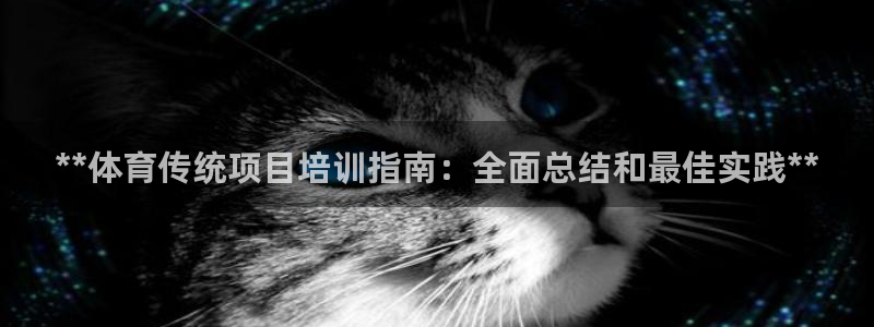 尊龙这个平台怎么样：**体育传统项目培训指南：全面总