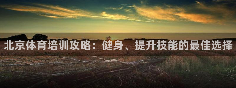 尊龙凯时赢不了：北京体育培训攻略：健身、提升技能的最