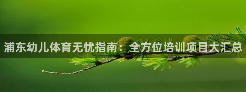 尊龙凯时网站赌愽做假吗：浦东幼儿体育无忧指南：全方位