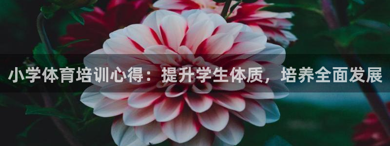 尊龙coming to my own：小学体育培训心