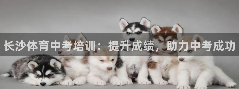 尊龙登录首页：长沙体育中考培训：提升成绩，助力中考成