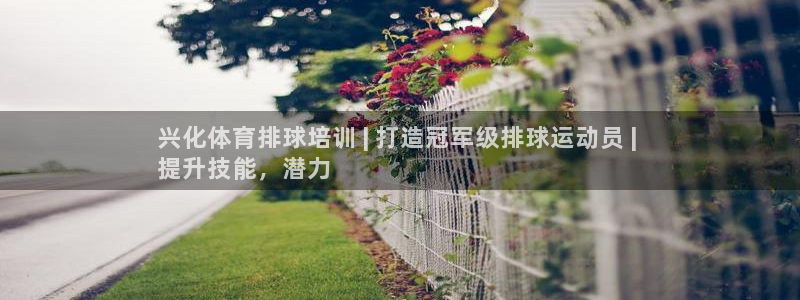 尊龙负面新闻：兴化体育排球培训 | 打造冠军级排球运