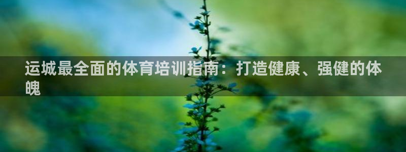 尊龙 国外：运城最全面的体育培训指南：打造健康、强健