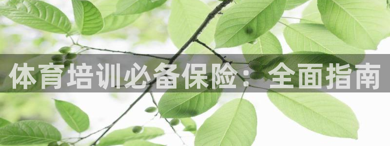 尊龙人生就是博AG：体育培训必备保险：全面指南