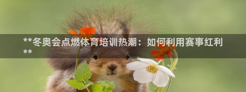 尊龙凯时代理官网入口：**冬奥会点燃体育培训热潮：如何利用赛