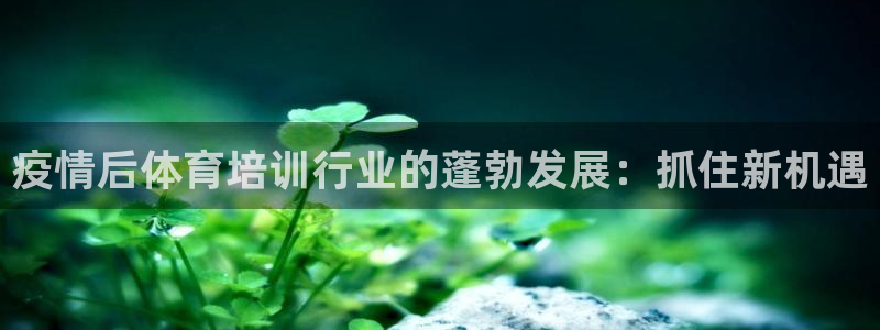 d88尊龙手机登录下载：疫情后体育培训行业的蓬勃发展