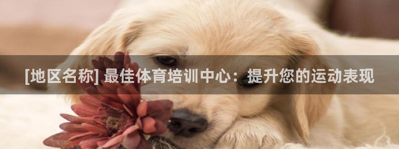 尊龙z6：[地区名称] 最佳体育培训中心：提升您的运