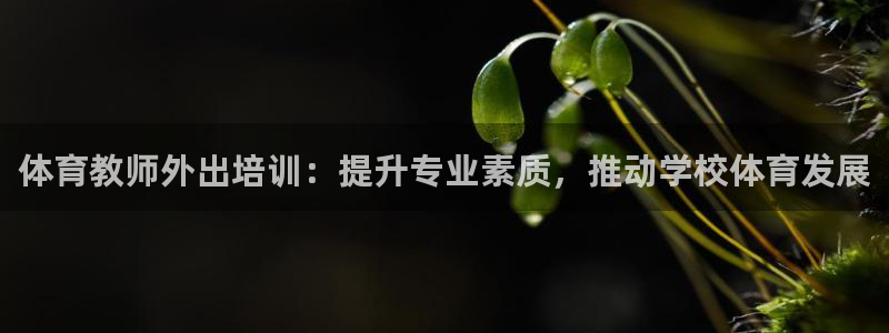 尊龙新版App下载：体育教师外出培训：提升专业素质，