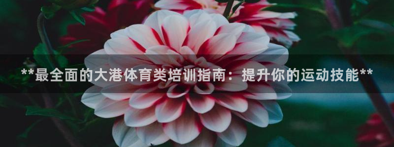 最新凯时官网网址：**最全面的大港体育类培训指南：提