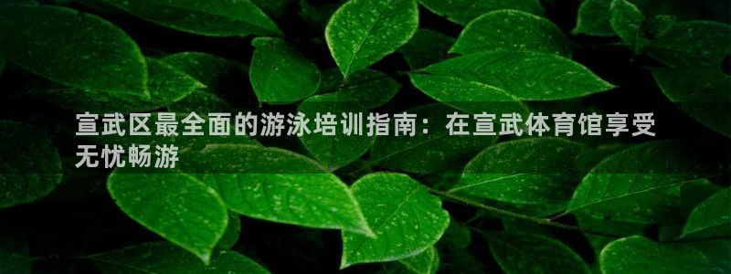尊龙网站下分慢：宣武区最全面的游泳培训指南：在宣武体