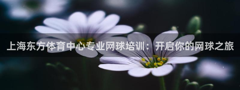 凯时登录首页,凯时K66：上海东方体育中心专业网球培