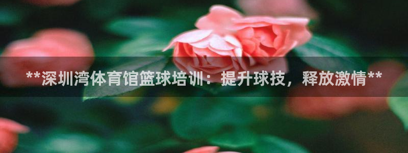 尊龙凯时代理：**深圳湾体育馆篮球培训：提升球技，释