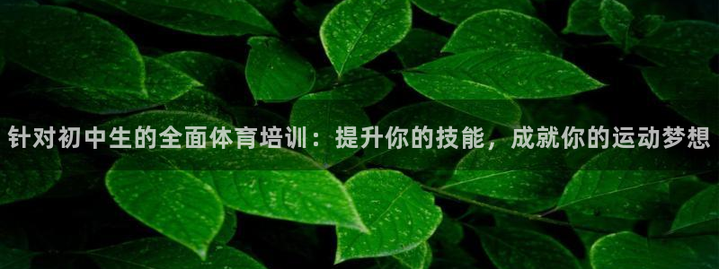 凯时尊龙平台登录：针对初中生的全面体育培训：提升你的