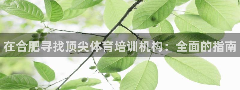 尊龙人生就是博旧版：在合肥寻找顶尖体育培训机构：全面