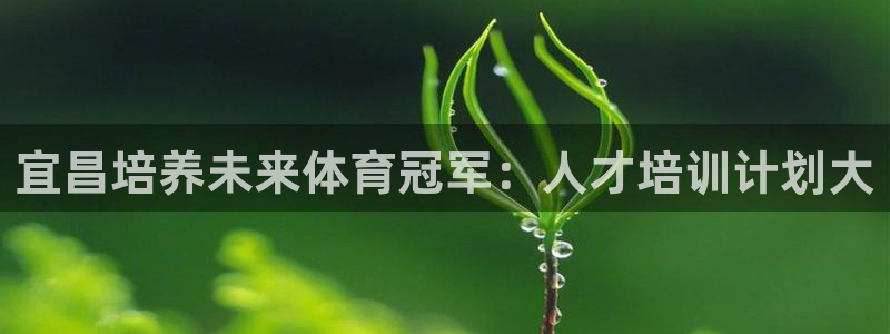 尊龙凯时导航菜单首页：宜昌培养未来体育冠军：人才培训