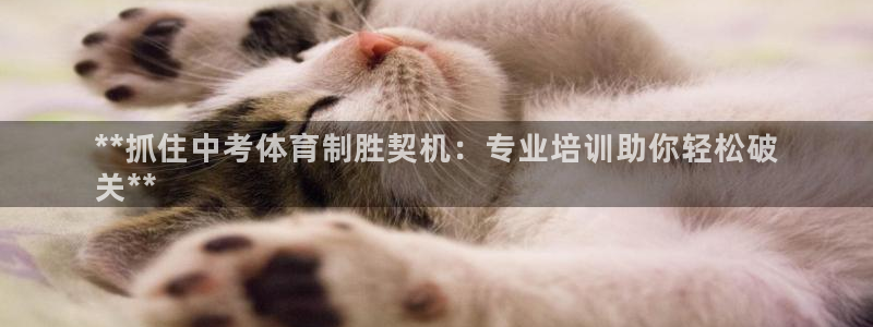 下载尊龙app：**抓住中考体育制胜契机：专业培训助