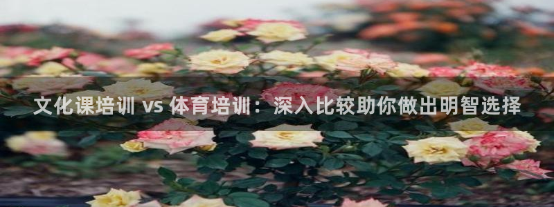 KB88凯时官网：文化课培训 vs 体育培训：深入比