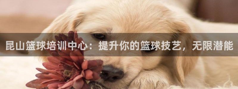尊龙人生就是博AG：昆山篮球培训中心：提升你的篮球技