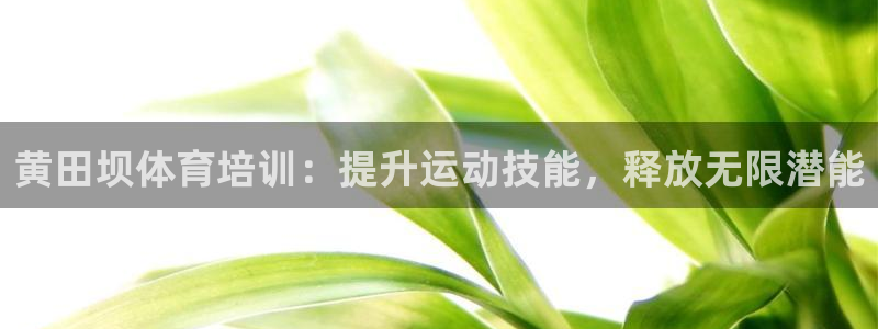 尊龙凯时网站怎么样：黄田坝体育培训：提升运动技能，释