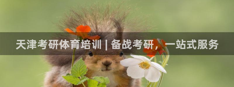 尊龙凯时能不能提现?：天津考研体育培训 | 备战考研