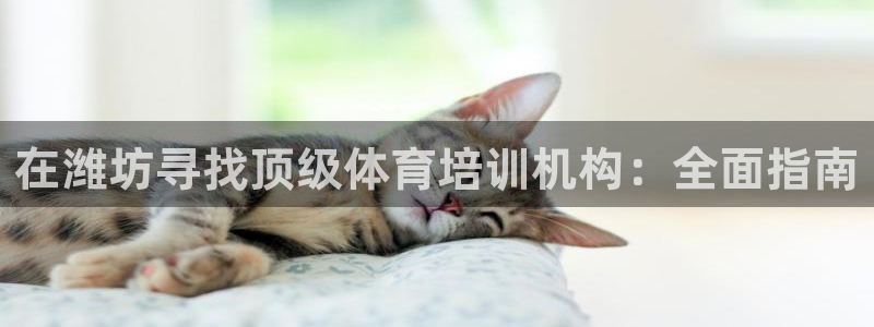 尊龙d88现金 旧版本可靠送38元：在潍坊寻找顶级体育培训机